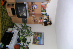 MINOLTA DIGITAL CAMERA